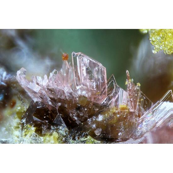 Erythrite Metanováčekite & Gersdorffite