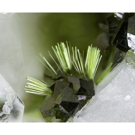 Agardite-(Ce) & Olivenite