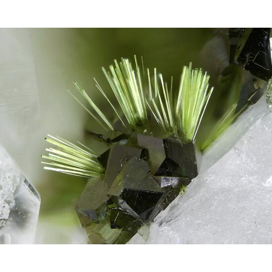 Agardite-(Ce) & Olivenite
