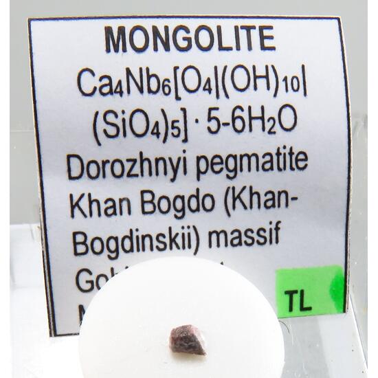 Mongolite