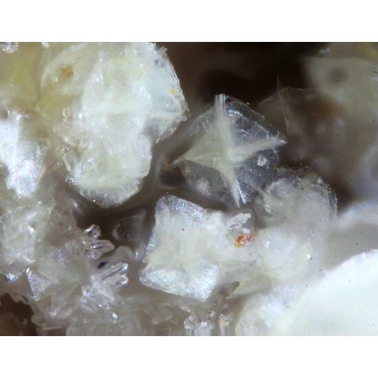 Unnamed (Kogarkoite-like mineral) & Walpurgite