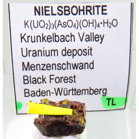 Nielsbohrite