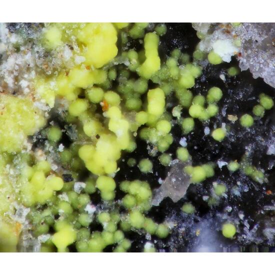 Phuralumite Moreauite & Eylettersite