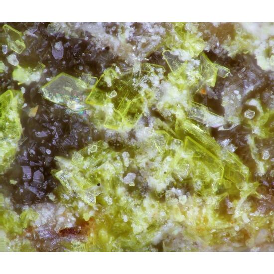 Phuralumite Moreauite & Eylettersite