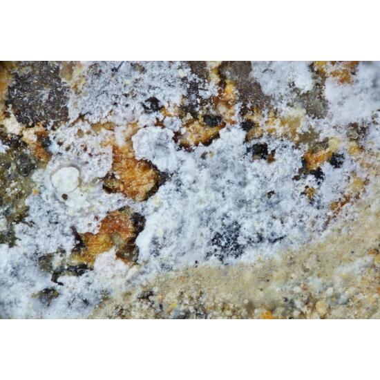 Phuralumite Moreauite & Eylettersite