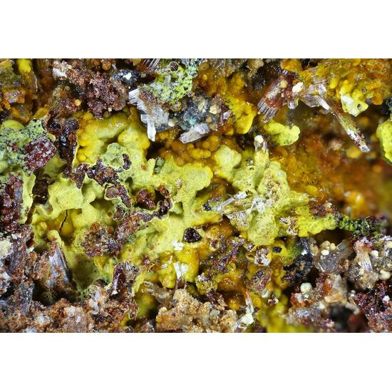 Uranosphaerite Zellerite & Blatonite