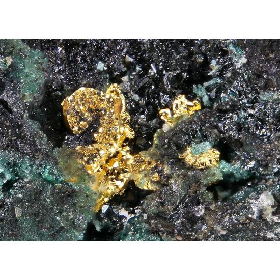 Native Gold & Paratacamite