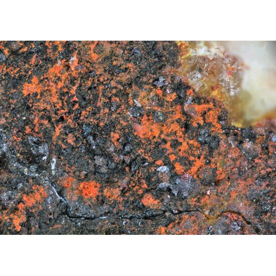 Calomel Coccinite & Native Mercury