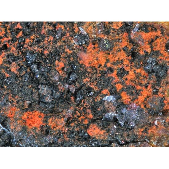 Calomel Coccinite & Native Mercury