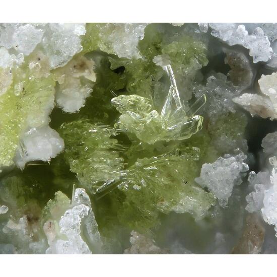 Wetherillite Bobcookite & Péligotite