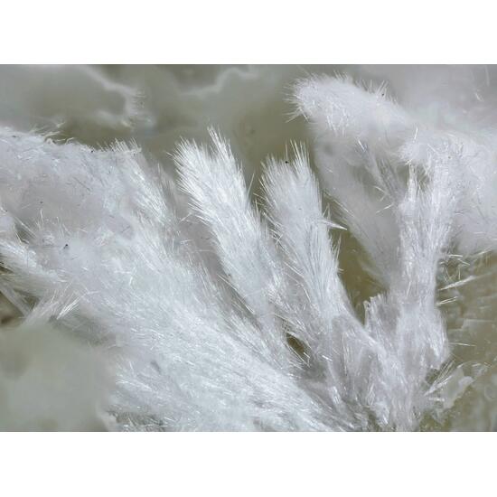 Kasatkinite