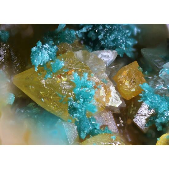 Herbertsmithite & Wulfenite