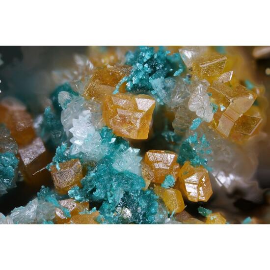 Herbertsmithite & Wulfenite