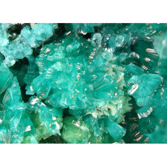 Tangdanite