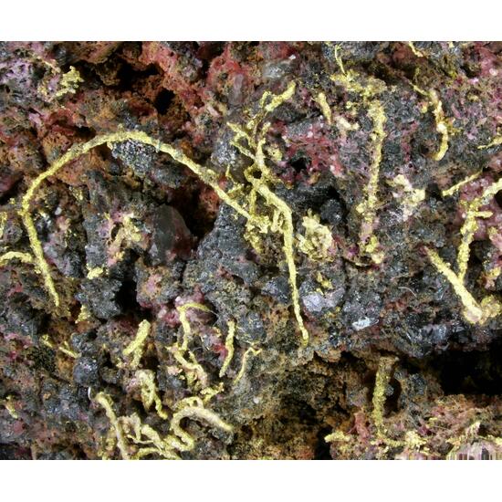 Native Gold & Erythrite Skutterudite