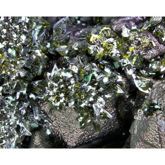 Segnitite