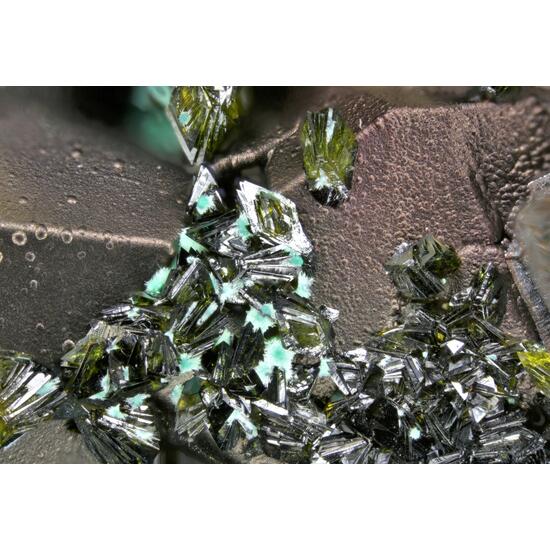 Segnitite