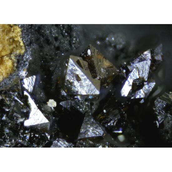 Brackebuschite