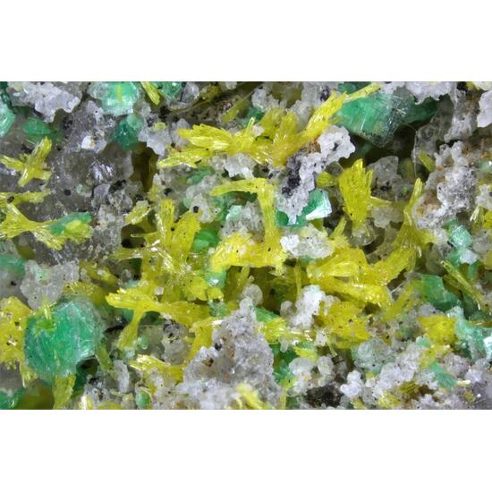 Renardite & Metatorbernite