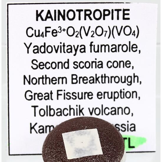 Kainotropite