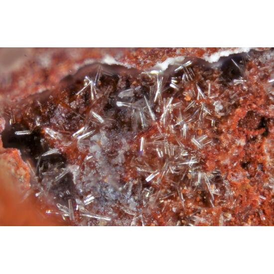 Sbacchiite