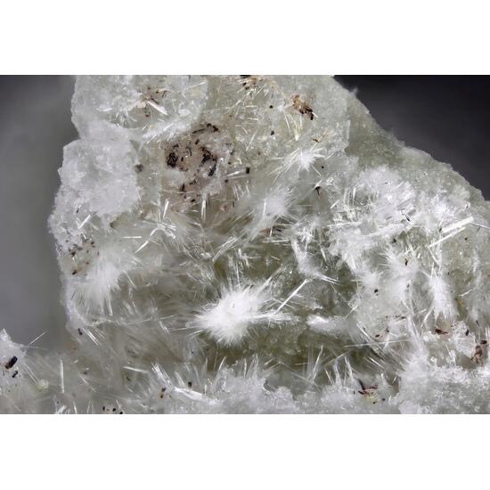 Campostriniite Demicheleite-(I) & Demicheleite-(Br)