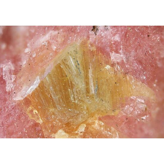 Vistepite
