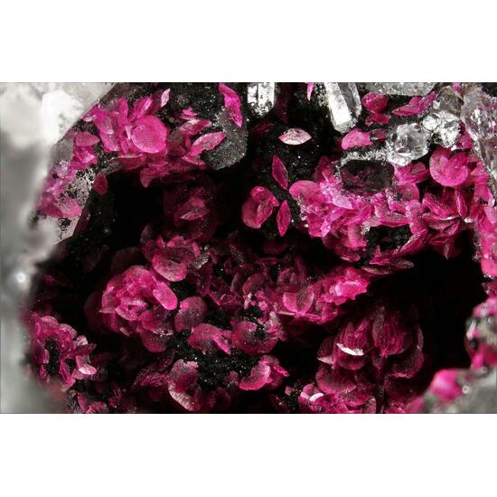 Spherocobaltite