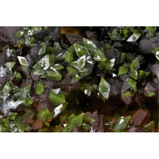Segnitite