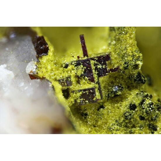 Beaverite-(Cu) Cuprite & Antlerite