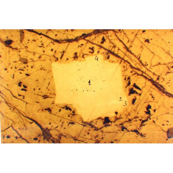 Palarstanide Rustenburgite & Polarite