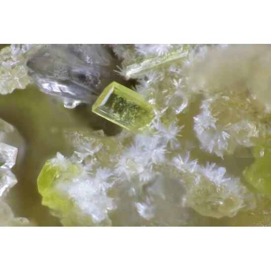Hallimondite & Widenmannite