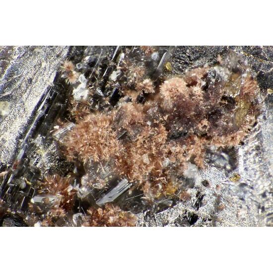 Raisaite & Ilirneyite