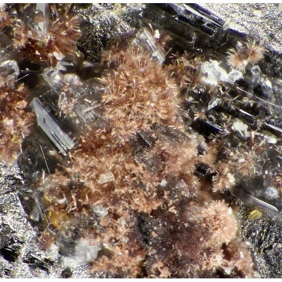 Raisaite & Ilirneyite