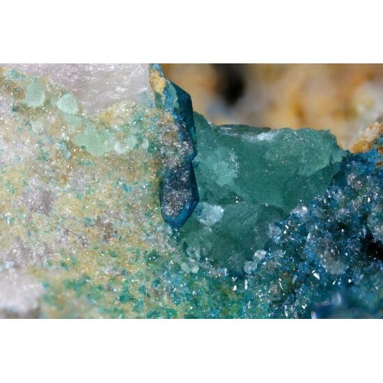 Cuprodongchuanite & Veszelyite