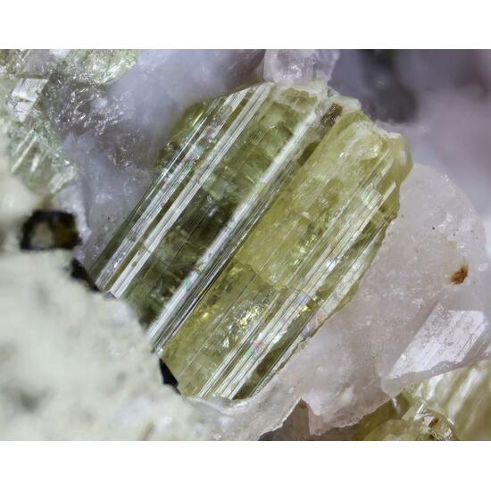 Belovite-(Ce)