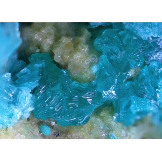 Tangdanite