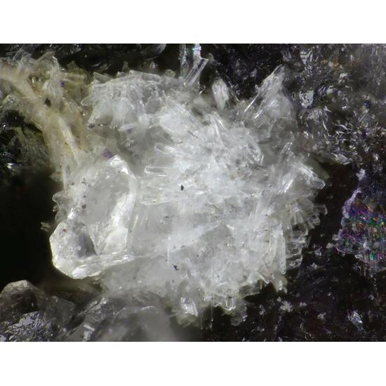 Gearksutite