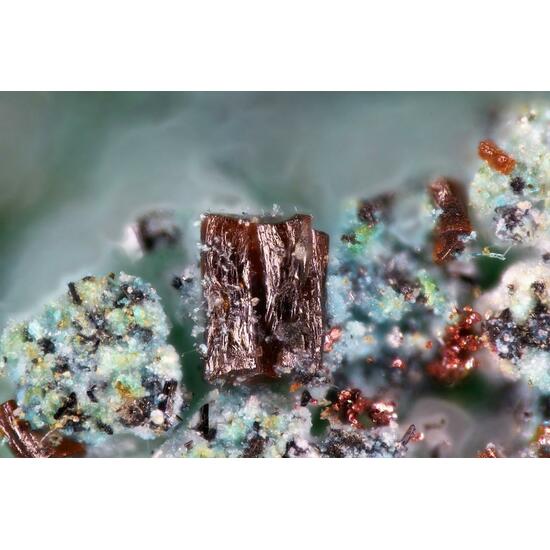 Cupromolybdite