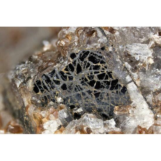 Pinakiolite