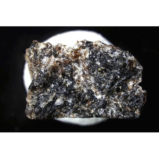 Aspidolite