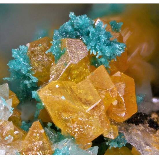 Herbertsmithite & Wulfenite