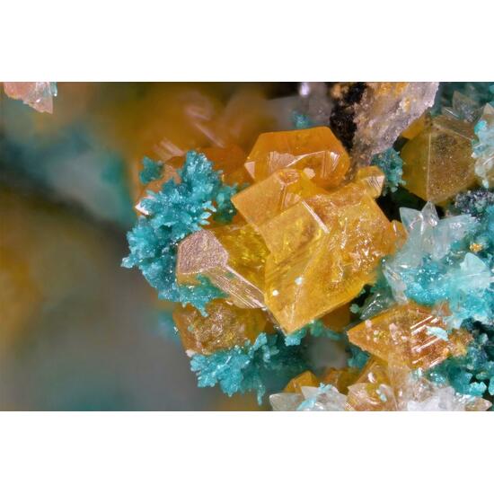 Herbertsmithite & Wulfenite