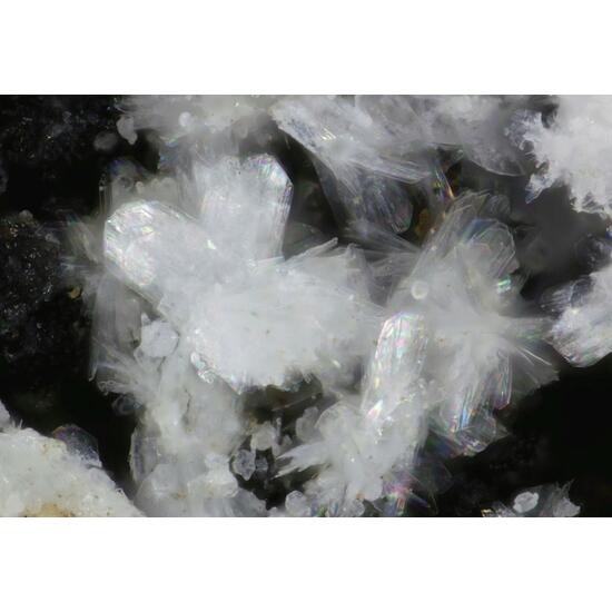 Penriceite Tomsquarryite & Elliottite