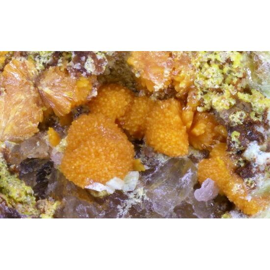 Asselbornite Uranosphaerite Trögerite Metazeunerite Uranophane & Phosphuranylite