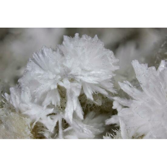 Kasatkinite