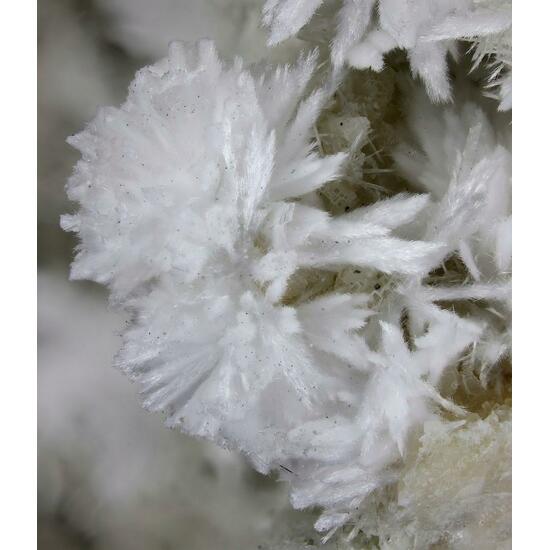 Kasatkinite