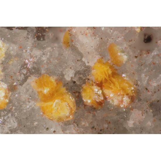 Phyllotungstite