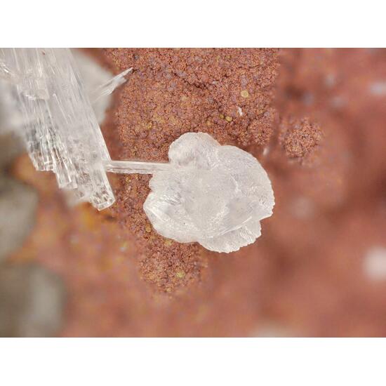 Hillite & Scholzite