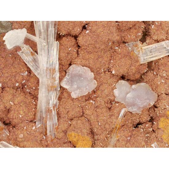 Hillite & Scholzite